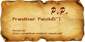 Prandtner Paszkál névjegykártya
